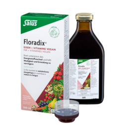 Salus Floradix® Fer + vitamines tonique vegan